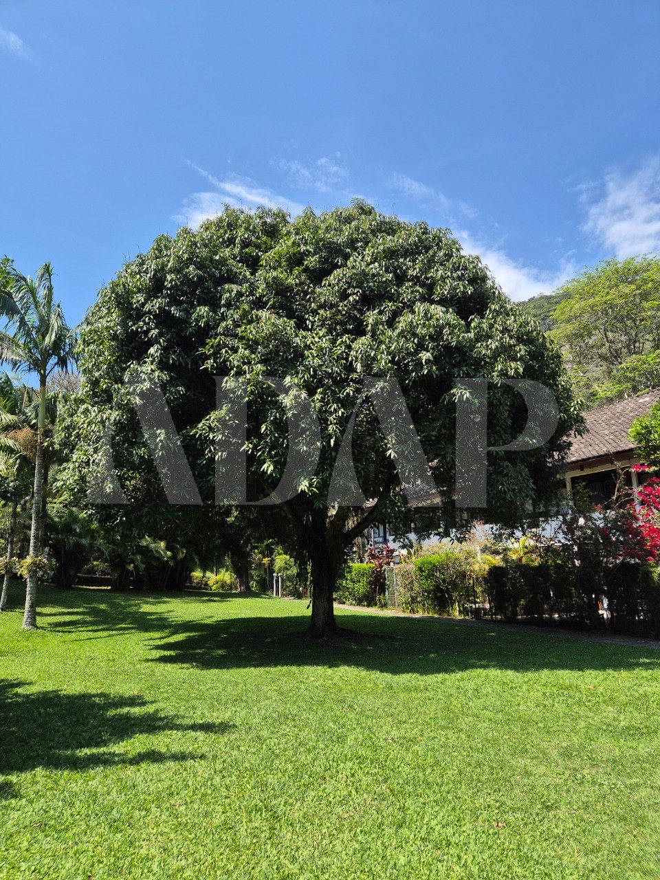 Casa, 4 quartos, 250 m² - Foto 35