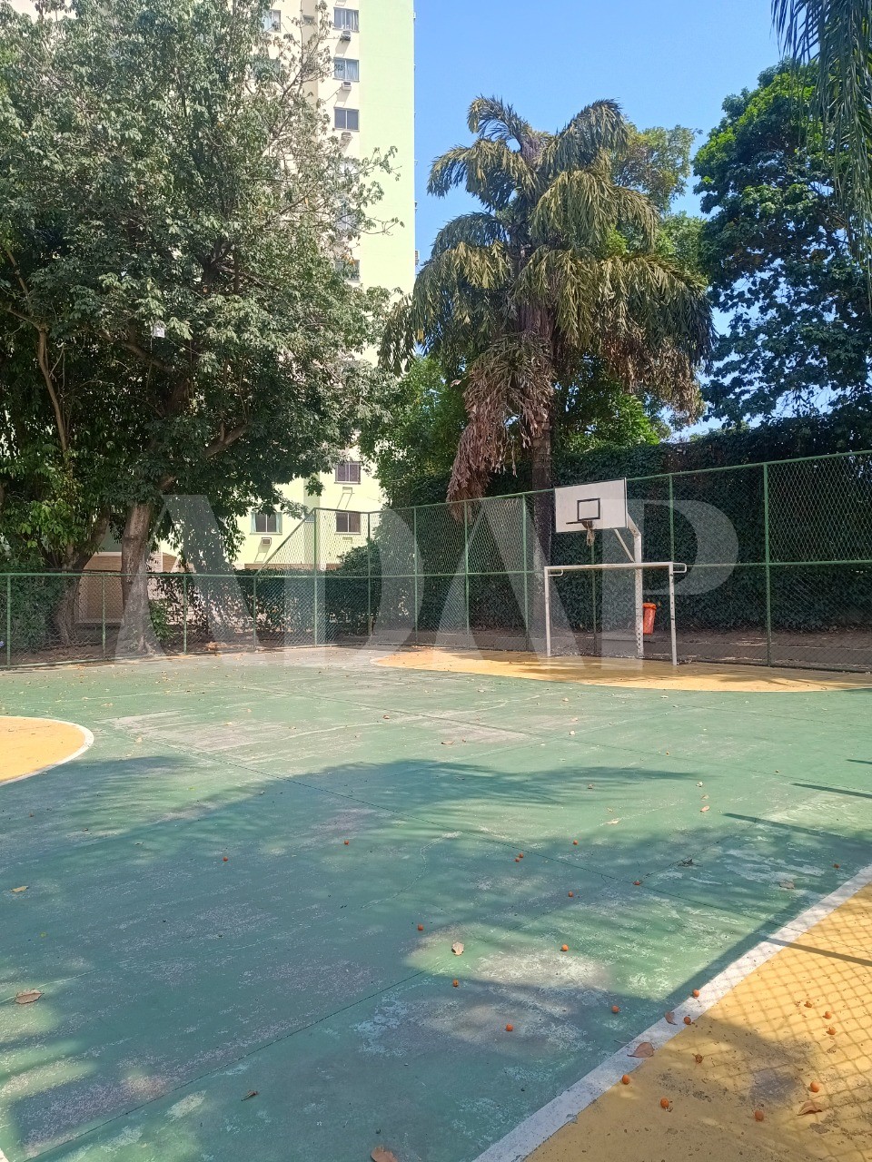 Apartamento, 3 quartos, 56 m² - Foto 38