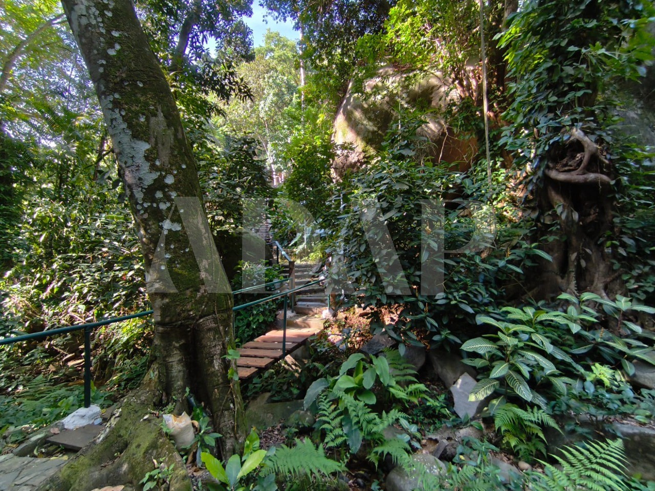 Casa, 4 quartos, 307 m² - Foto 77