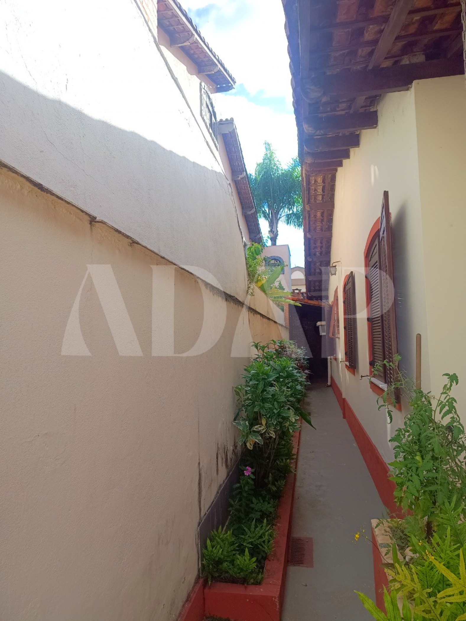 Casa, 3 quartos, 220 m² - Foto 6