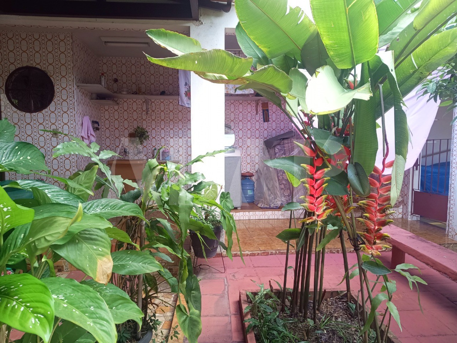 Casa, 3 quartos, 220 m² - Foto 38