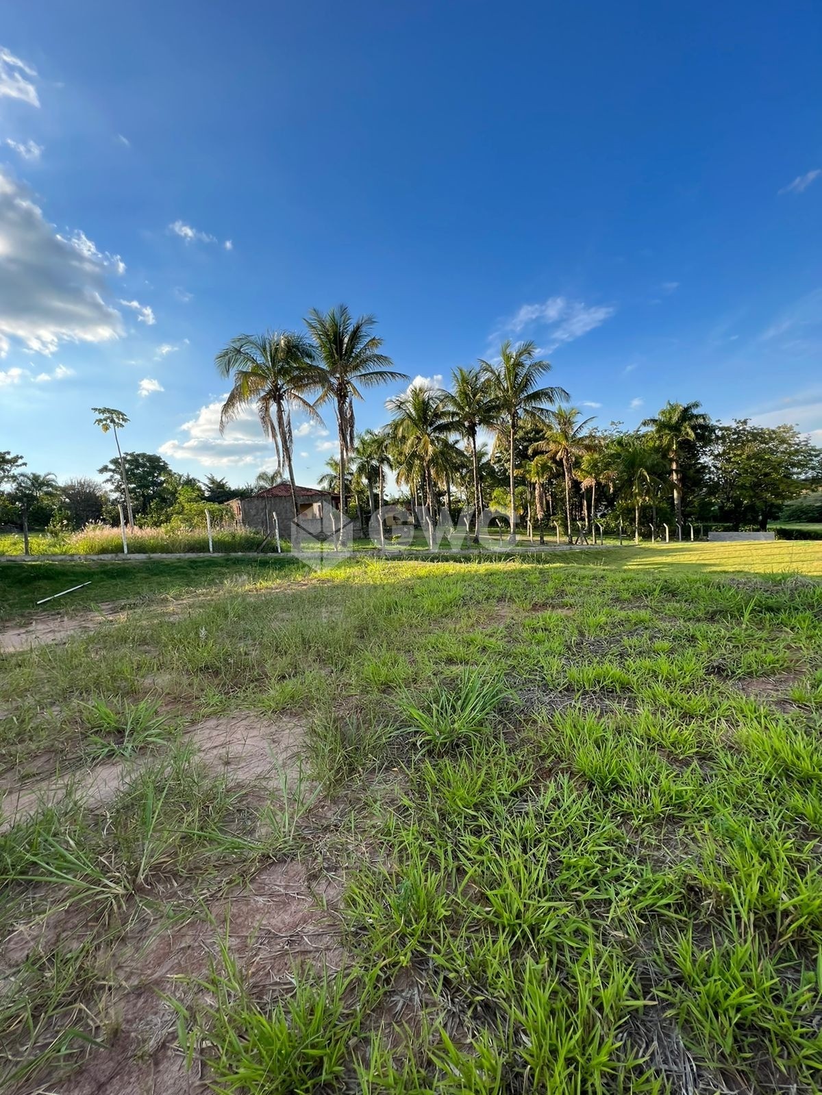 Terreno à venda, 2500m² - Foto 4