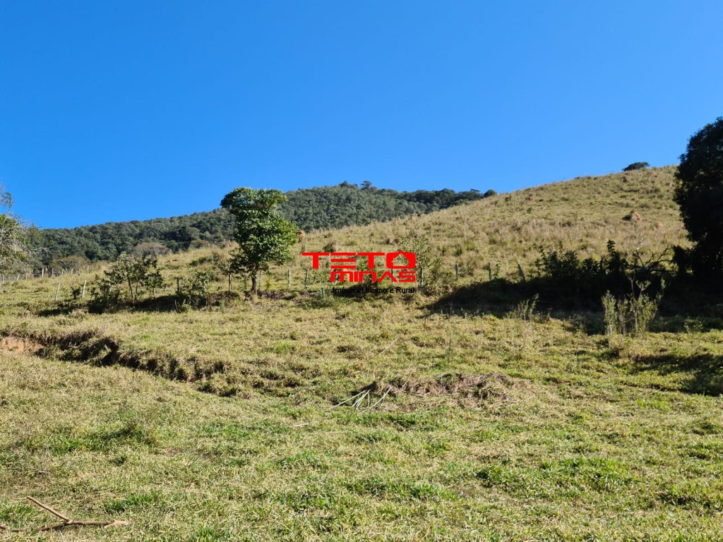 Fazenda à venda - Foto 10