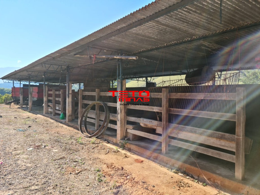 Fazenda à venda - Foto 171