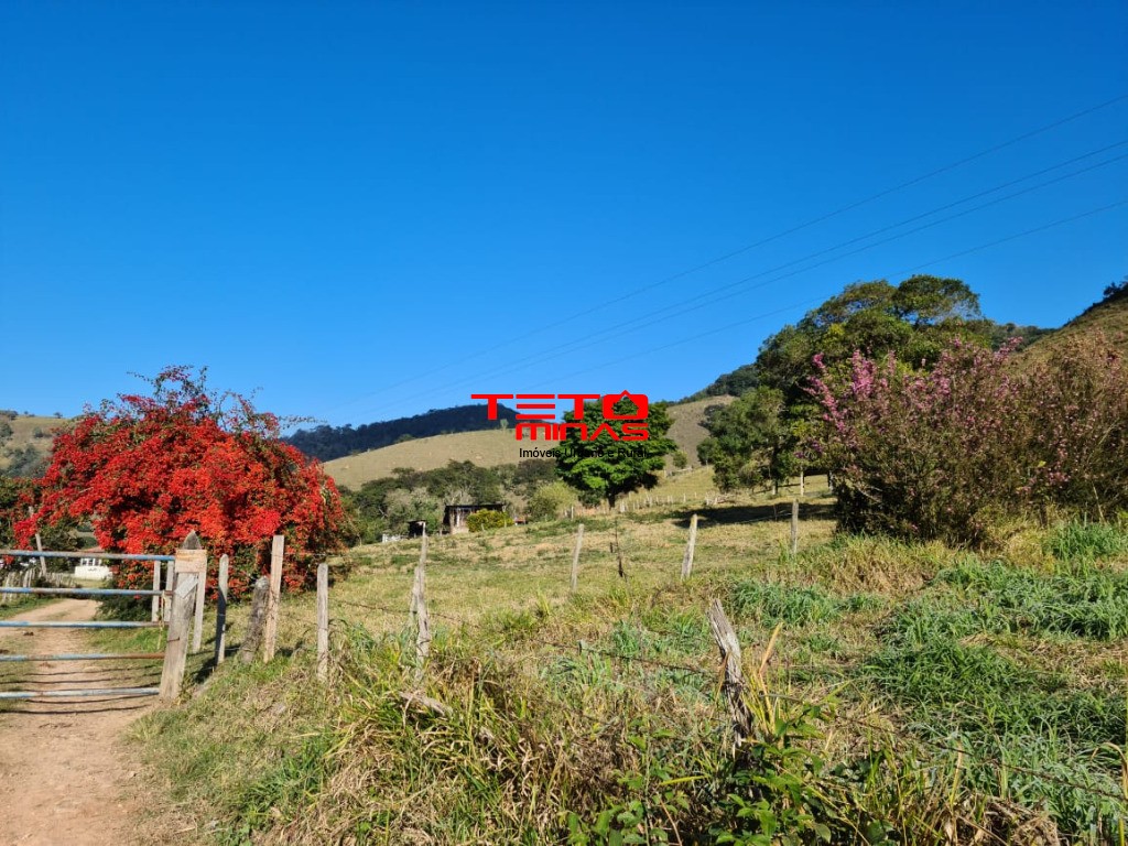 Fazenda à venda - Foto 98