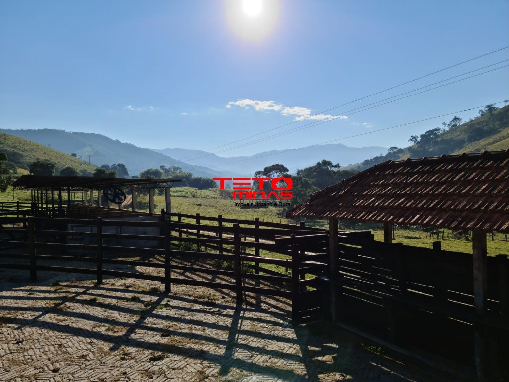 Fazenda à venda - Foto 77