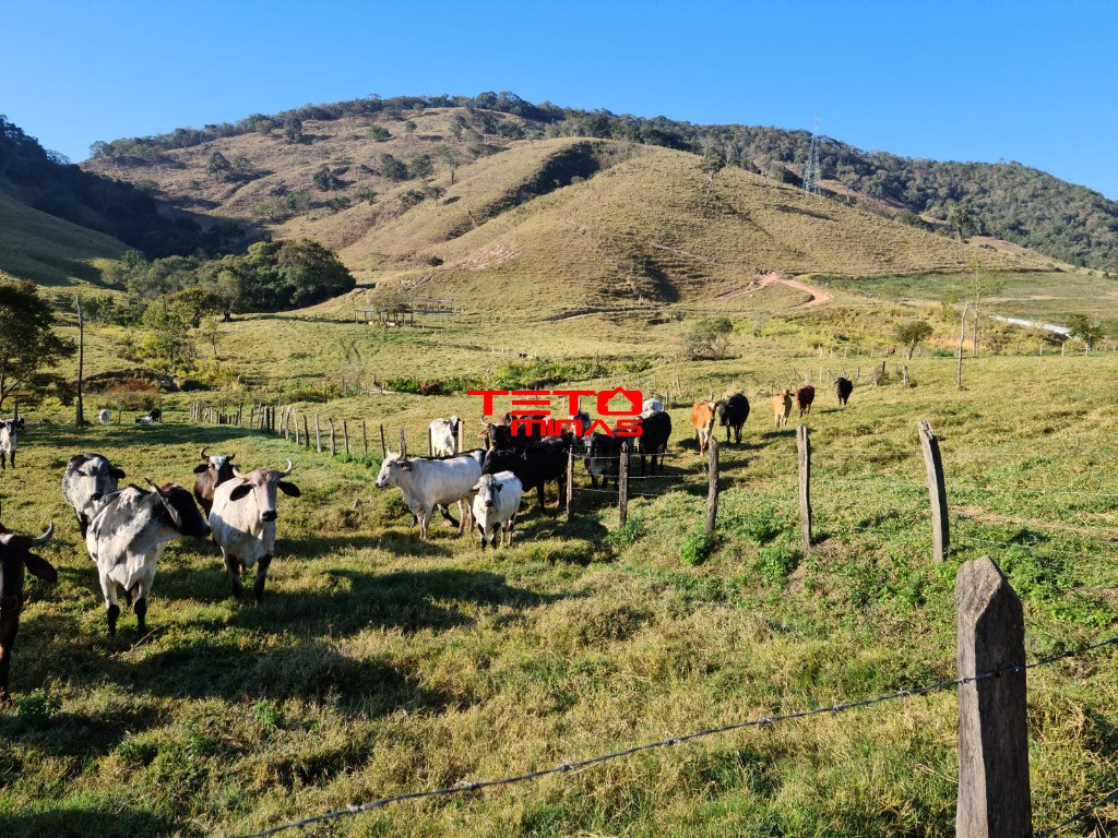 Fazenda à venda - Foto 93