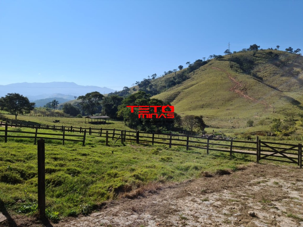 Fazenda à venda - Foto 167