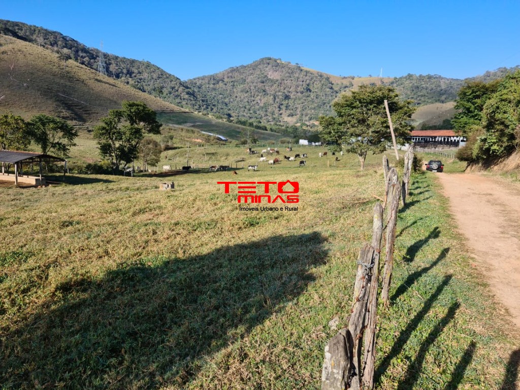 Fazenda à venda - Foto 99