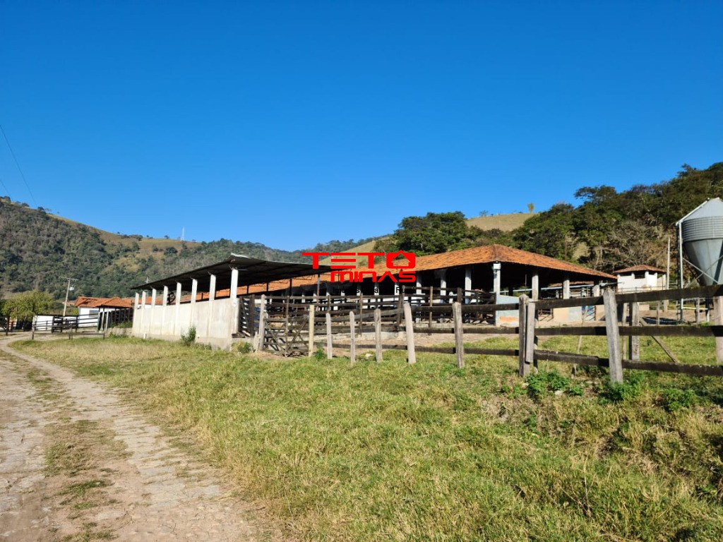 Fazenda à venda - Foto 129