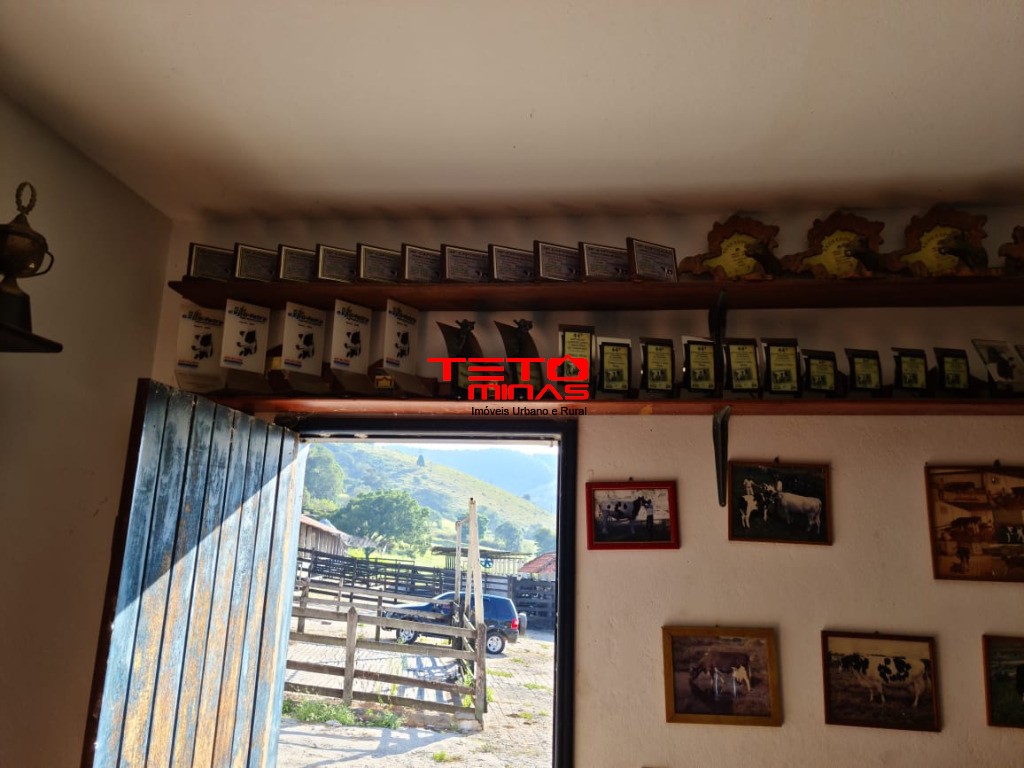 Fazenda à venda - Foto 130