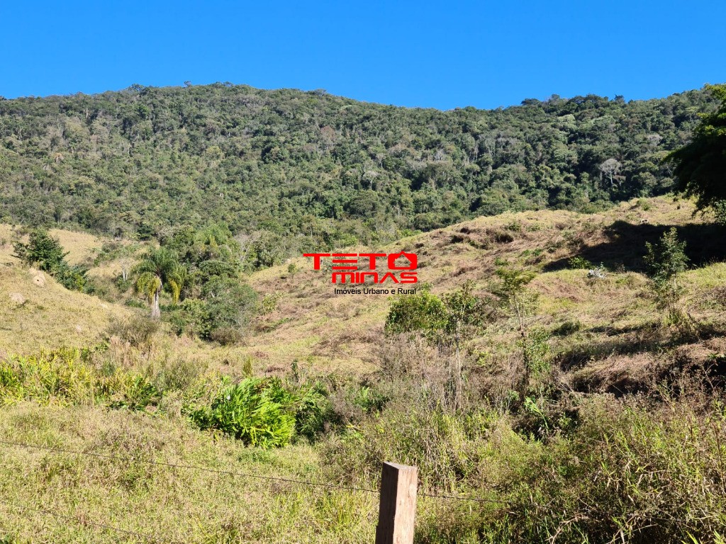 Fazenda à venda - Foto 47