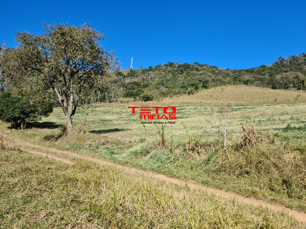 Fazenda à venda - Foto 36