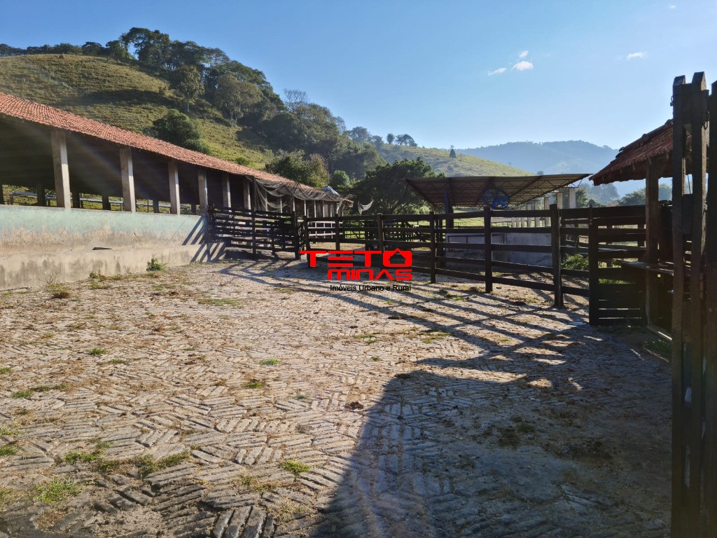 Fazenda à venda - Foto 83