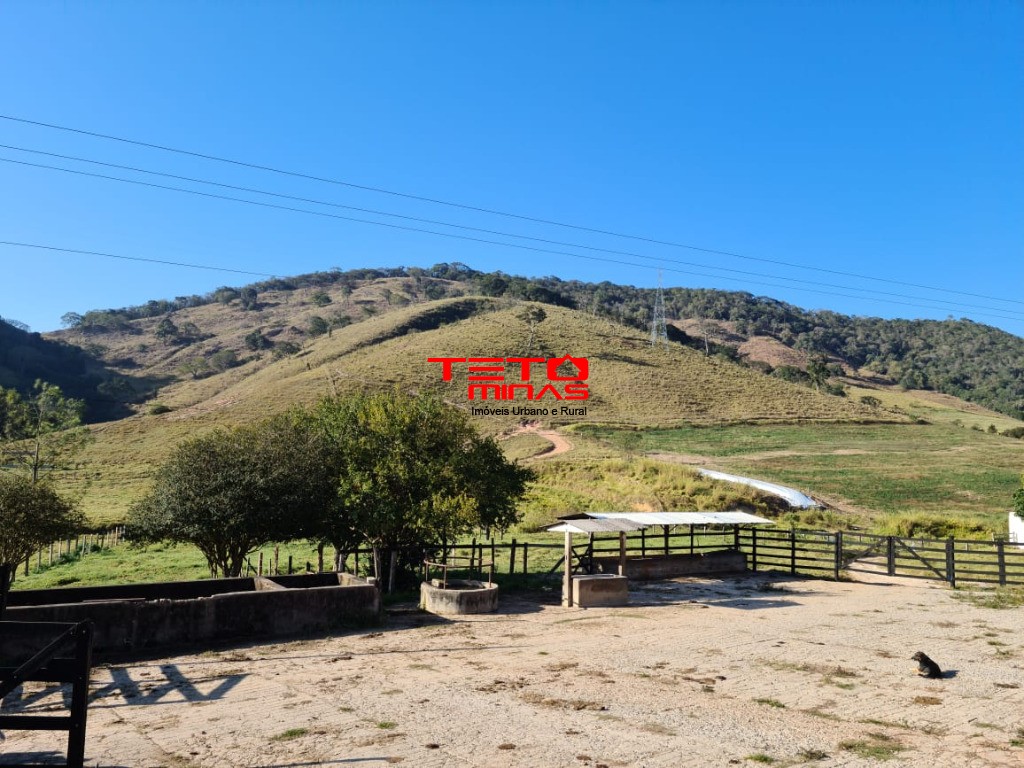 Fazenda à venda - Foto 108