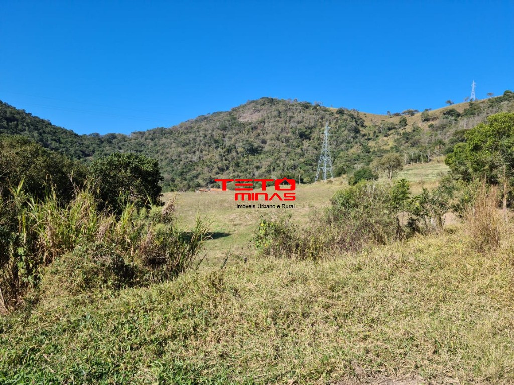 Fazenda à venda - Foto 156