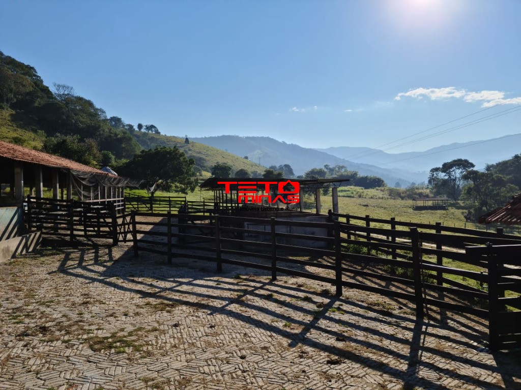 Fazenda à venda - Foto 111