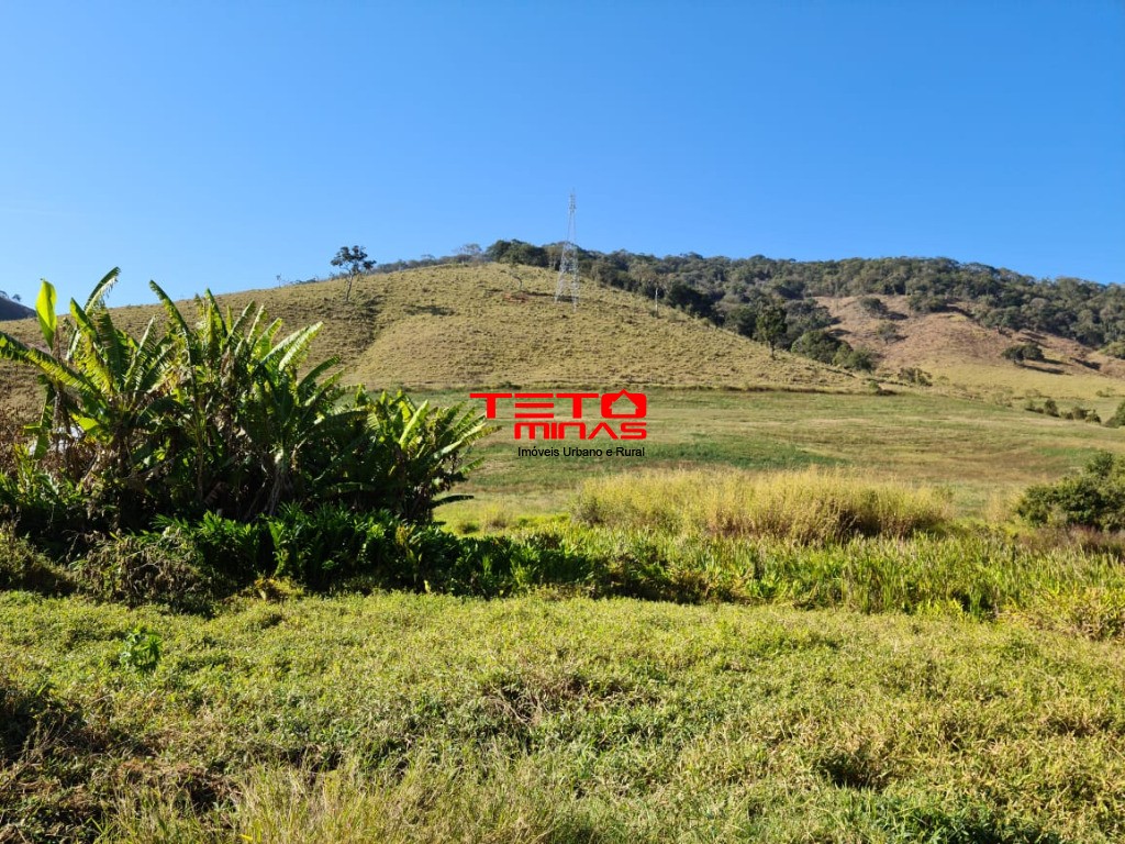 Fazenda à venda - Foto 141