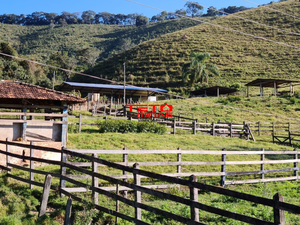 Fazenda à venda - Foto 71