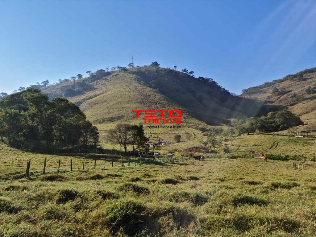 Fazenda à venda - Foto 118