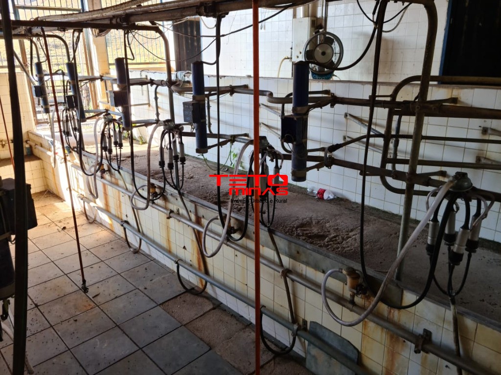 Fazenda à venda - Foto 106
