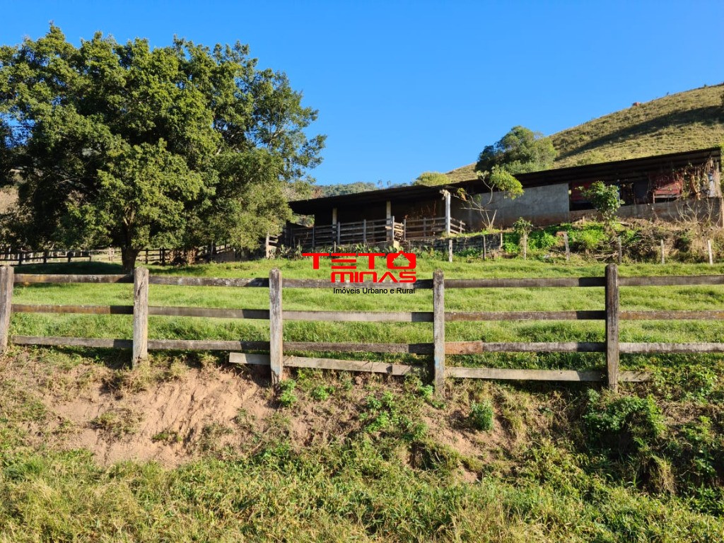 Fazenda à venda - Foto 120