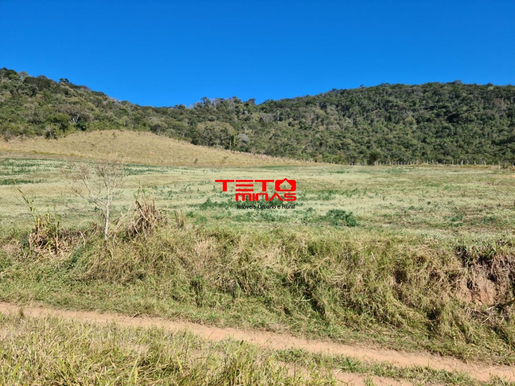 Fazenda à venda - Foto 180