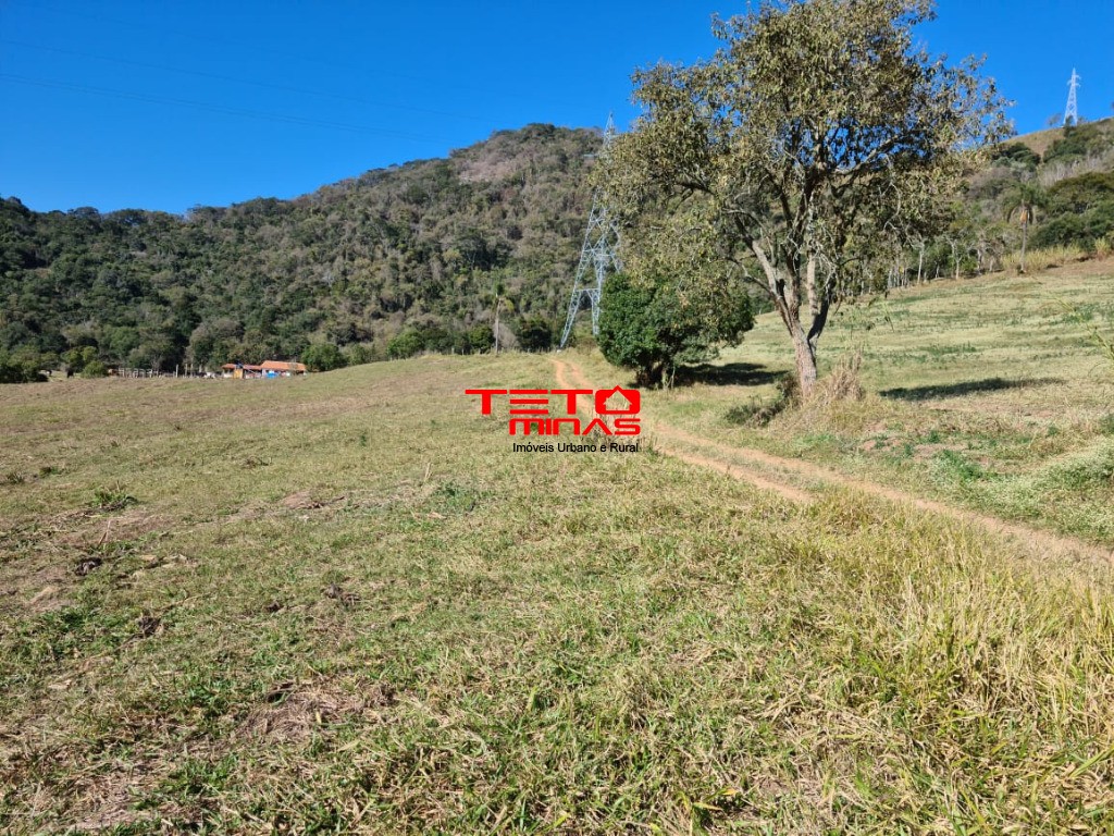 Fazenda à venda - Foto 187