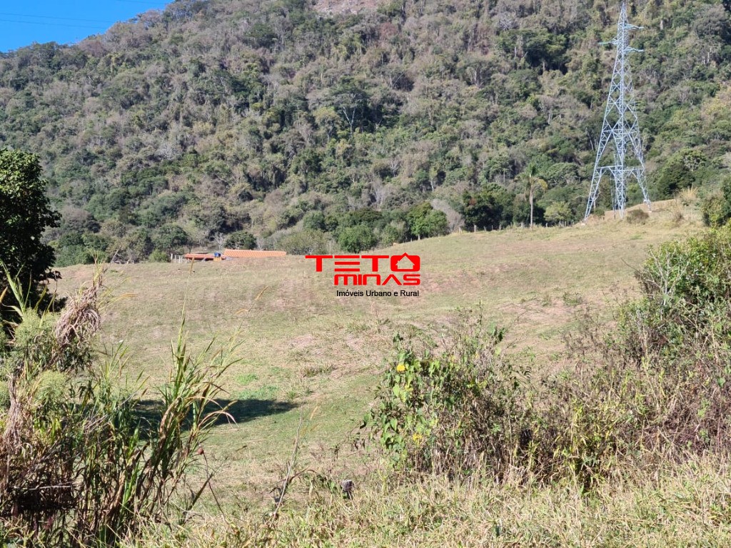 Fazenda à venda - Foto 191
