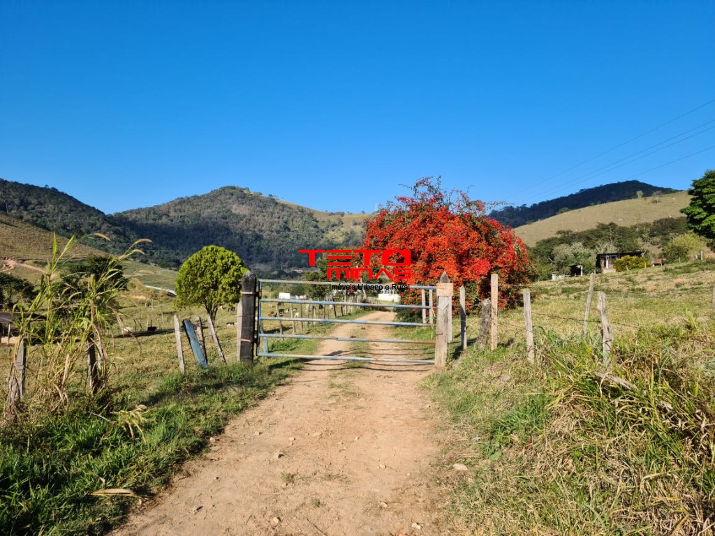 Fazenda à venda - Foto 1