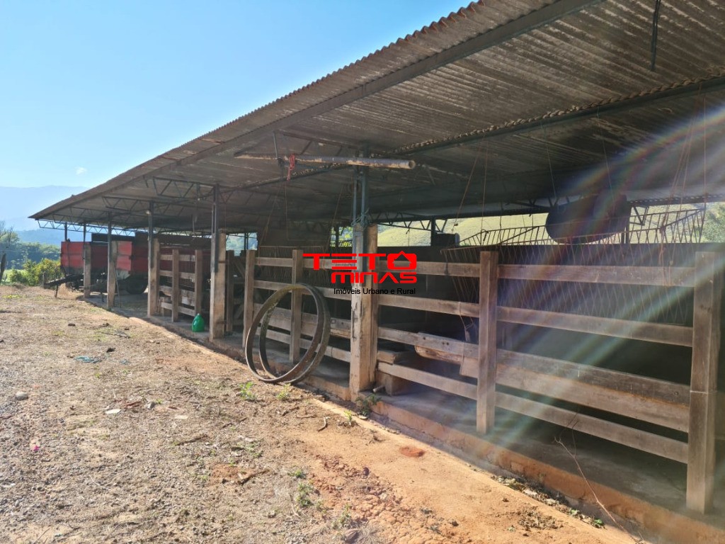 Fazenda à venda - Foto 170