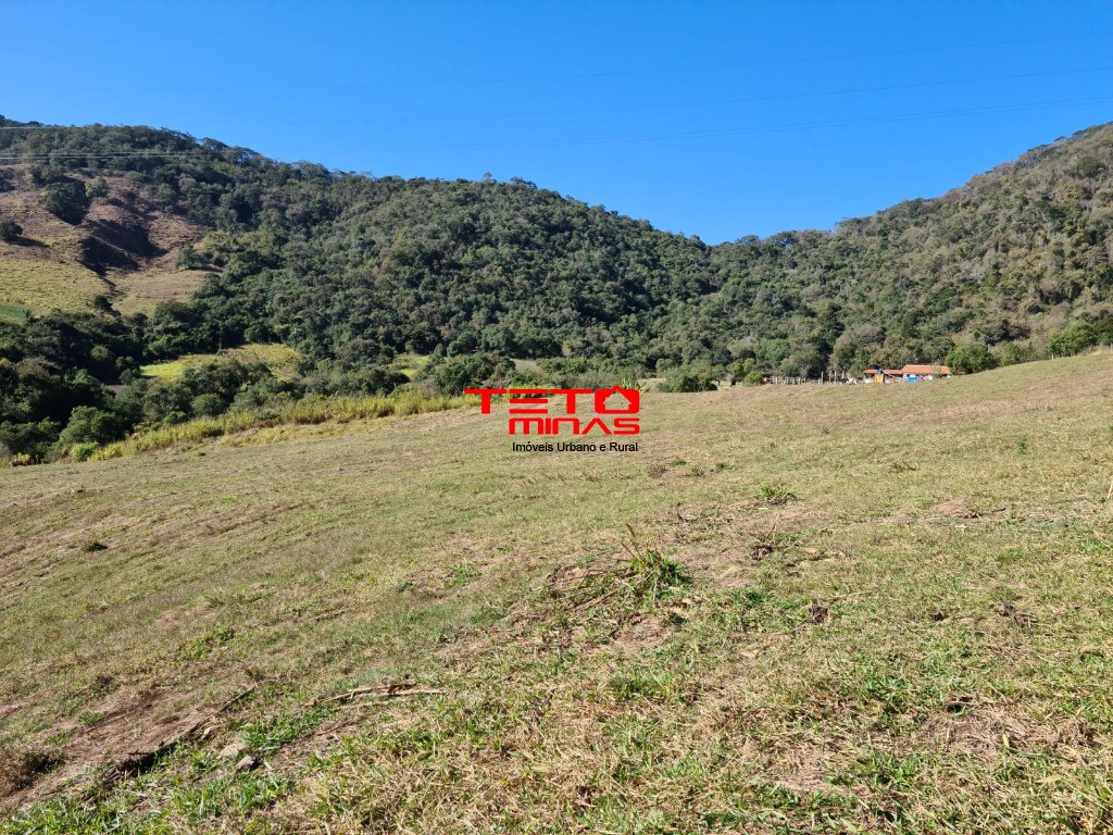 Fazenda à venda - Foto 13