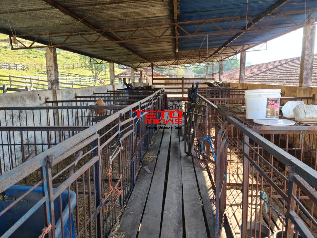 Fazenda à venda - Foto 127