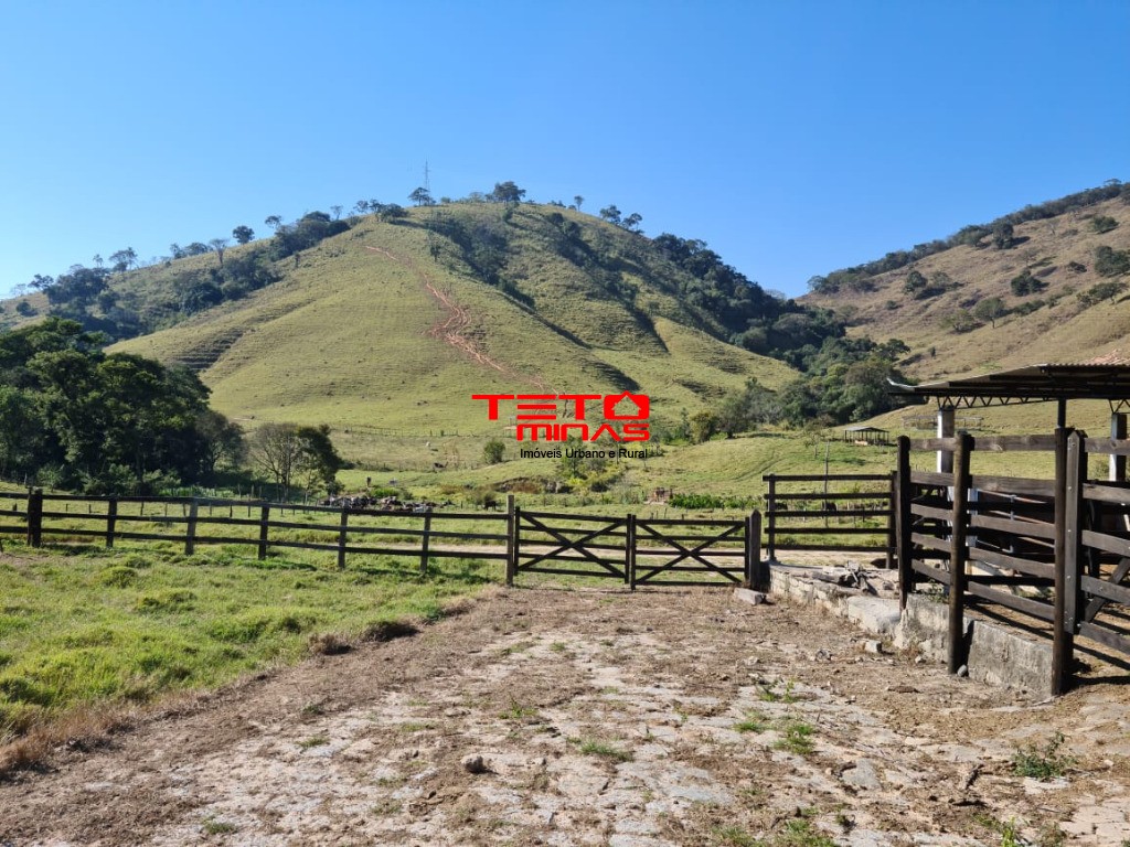 Fazenda à venda - Foto 168