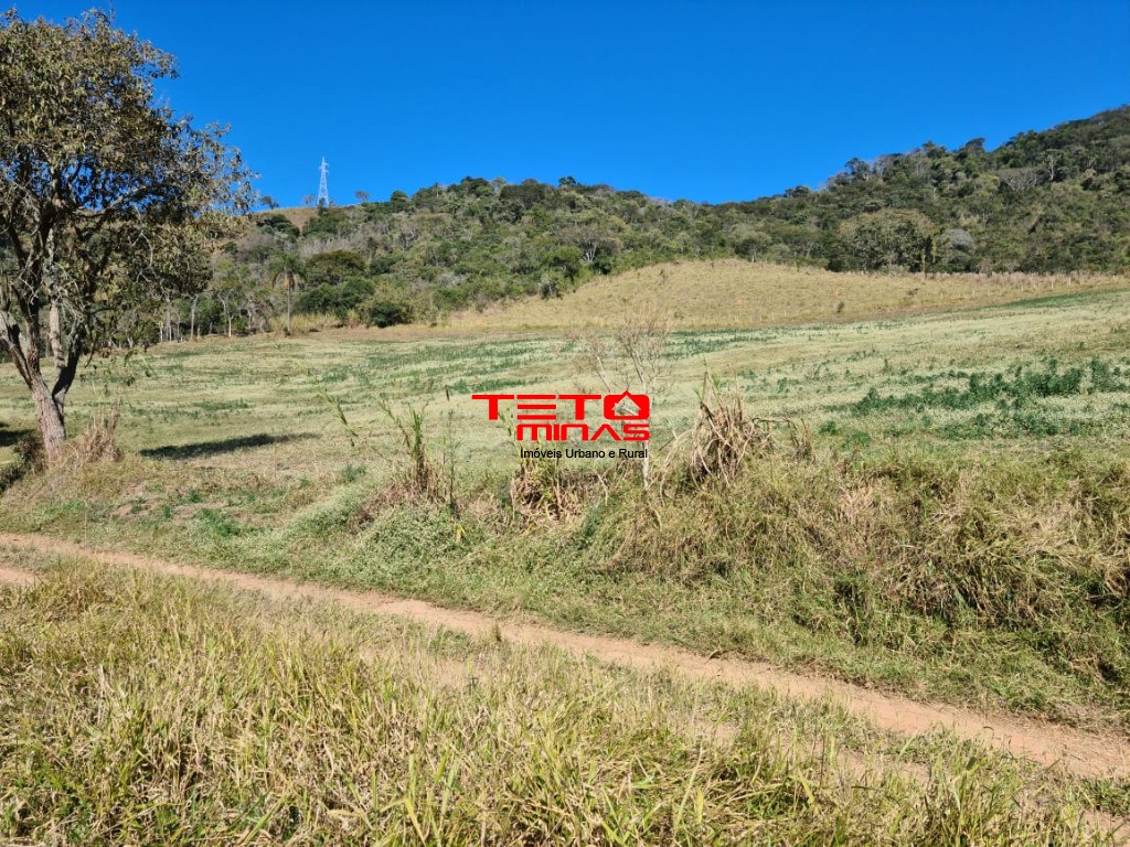 Fazenda à venda - Foto 176