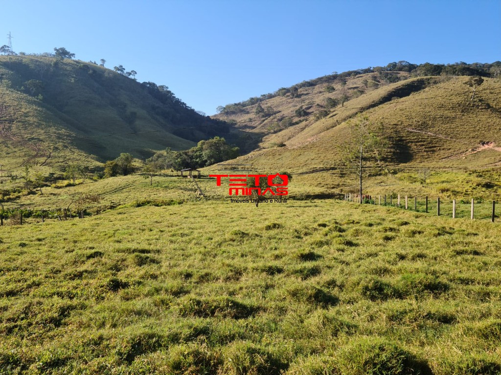 Fazenda à venda - Foto 82