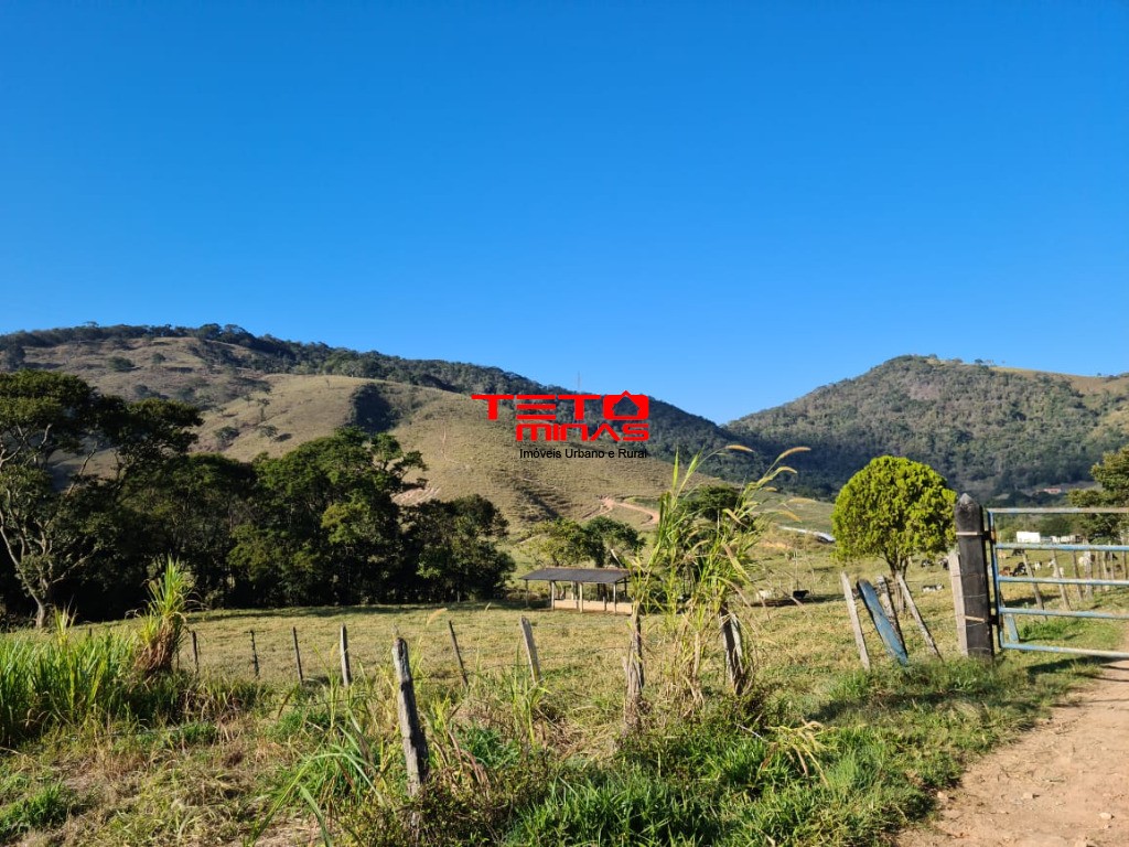 Fazenda à venda - Foto 97