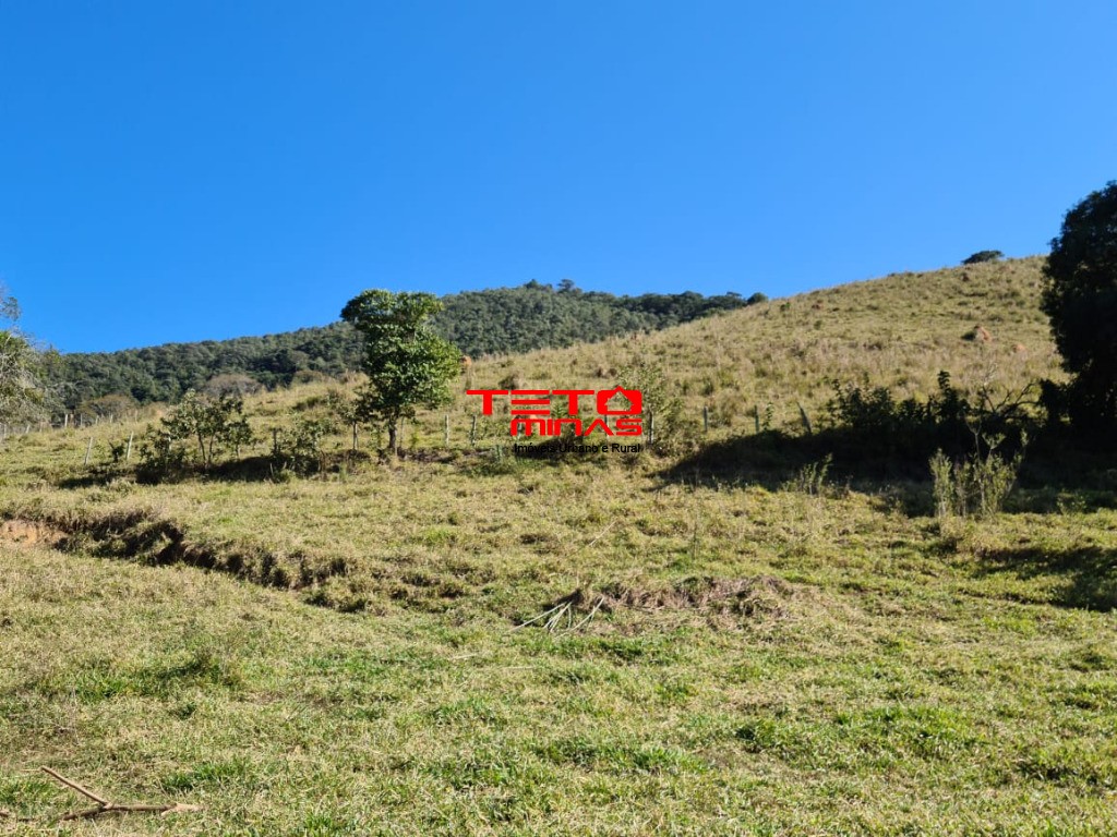 Fazenda à venda - Foto 140