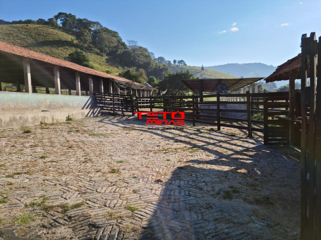 Fazenda à venda - Foto 113