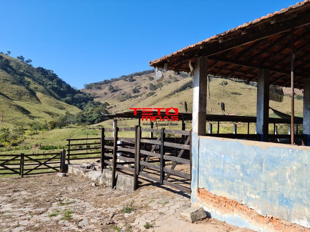 Fazenda à venda - Foto 26