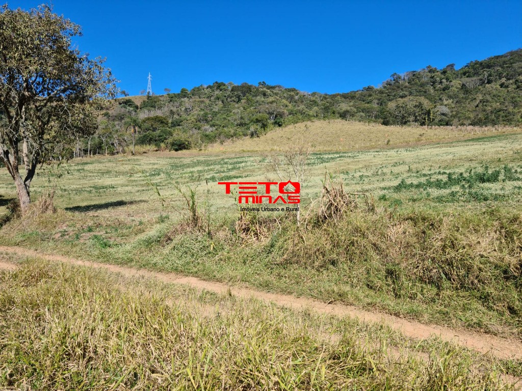 Fazenda à venda - Foto 30