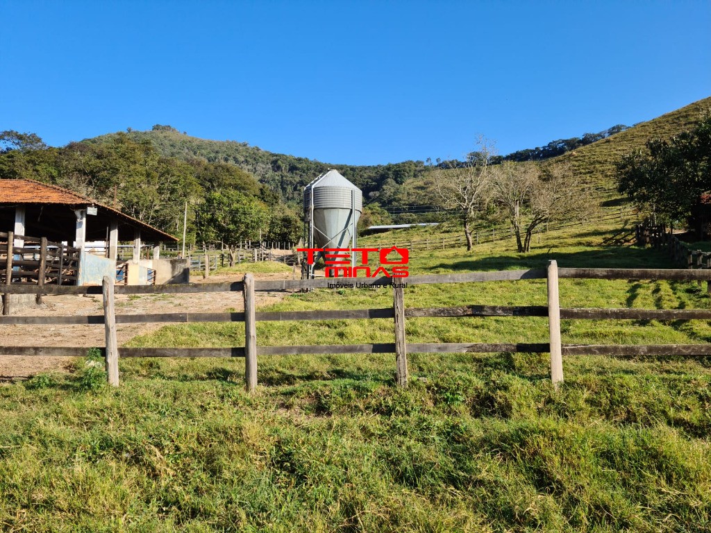 Fazenda à venda - Foto 89