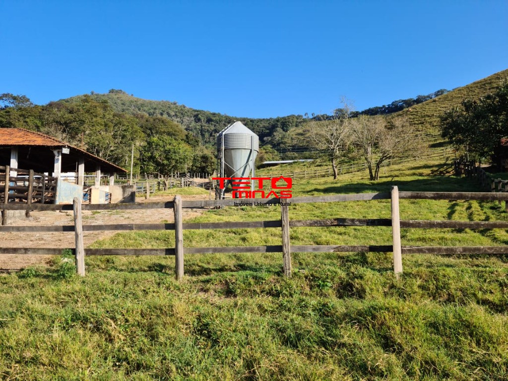 Fazenda à venda - Foto 119
