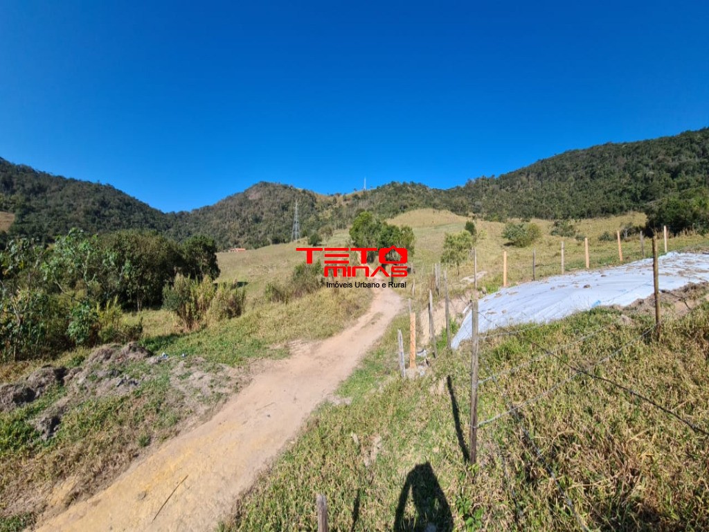 Fazenda à venda - Foto 185