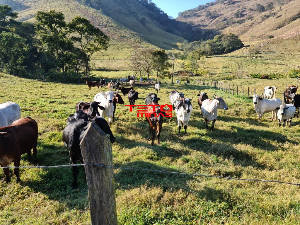 Fazenda à venda - Foto 92