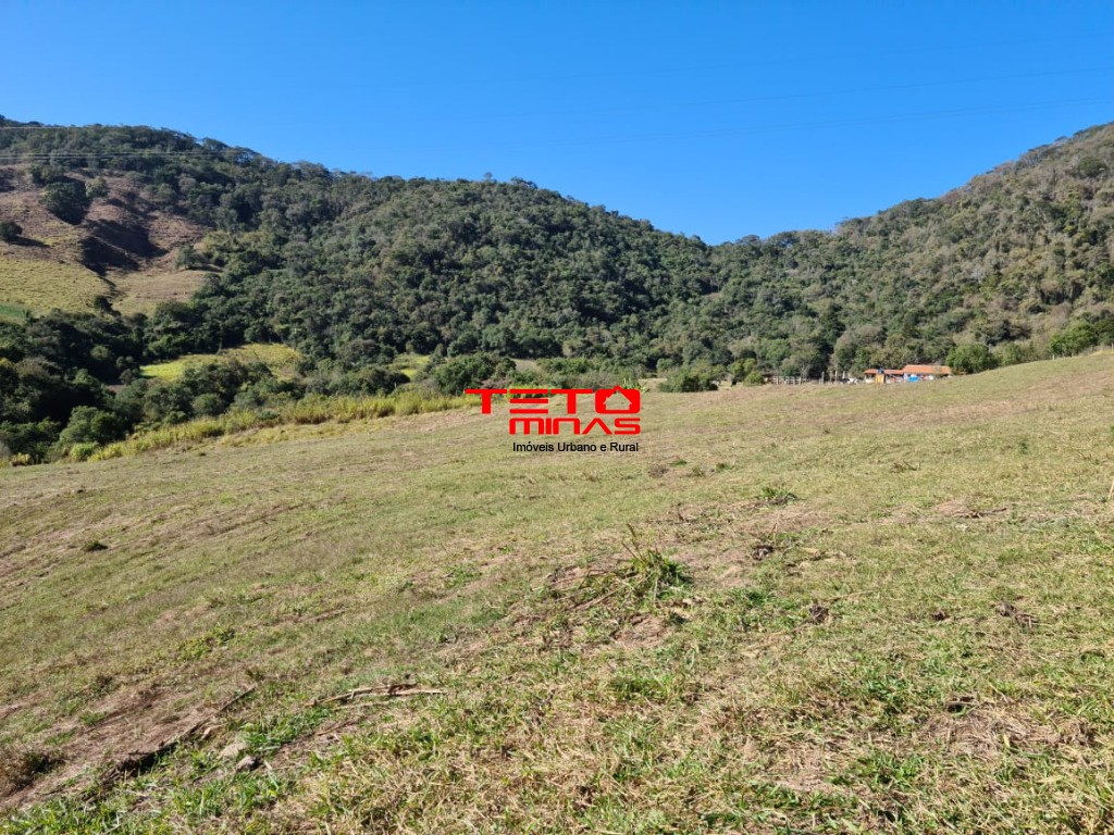 Fazenda à venda - Foto 183