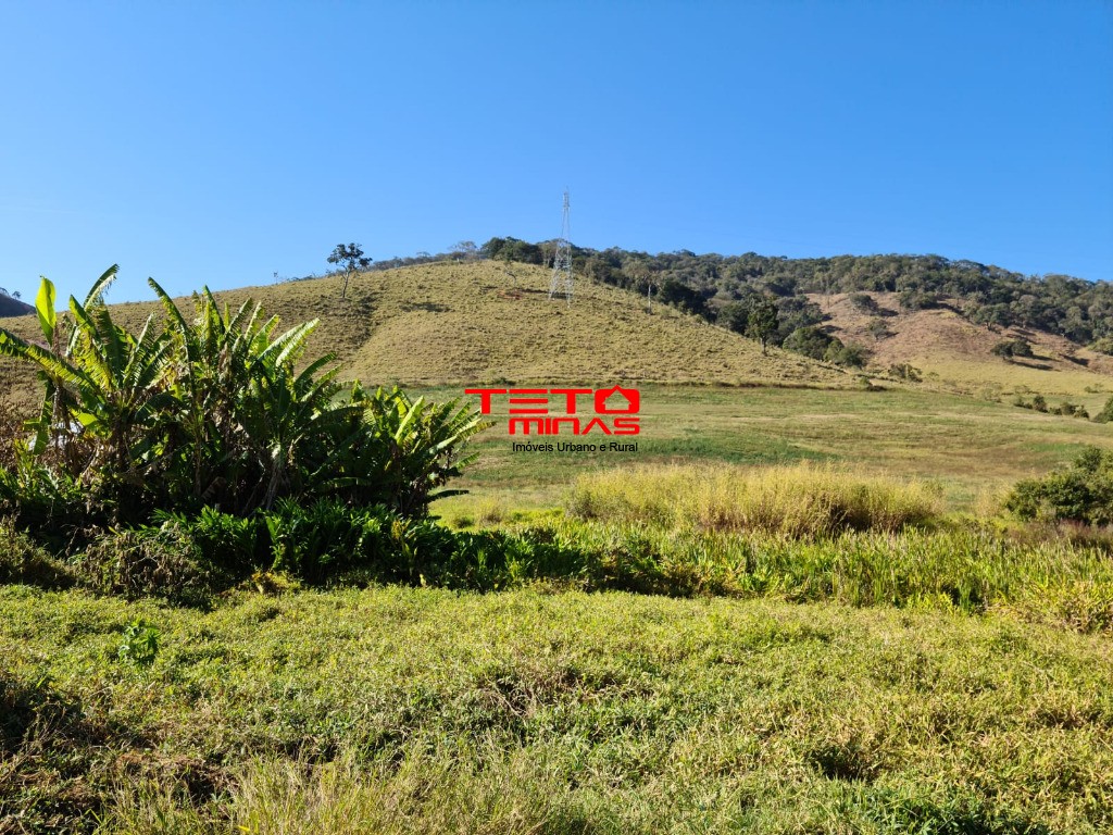 Fazenda à venda - Foto 52