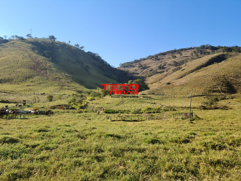 Fazenda à venda - Foto 86
