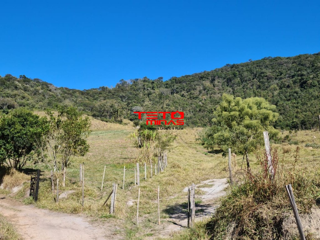 Fazenda à venda - Foto 188