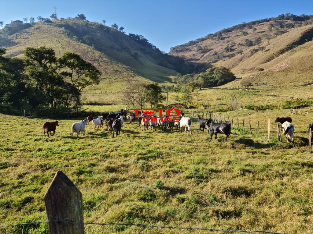 Fazenda à venda - Foto 121